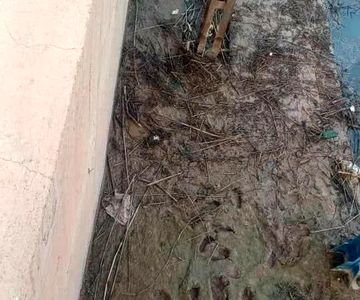 عملیات پاکسازی دستی نی‌ها و پسماندهای زائد سردهانه کانال AMC